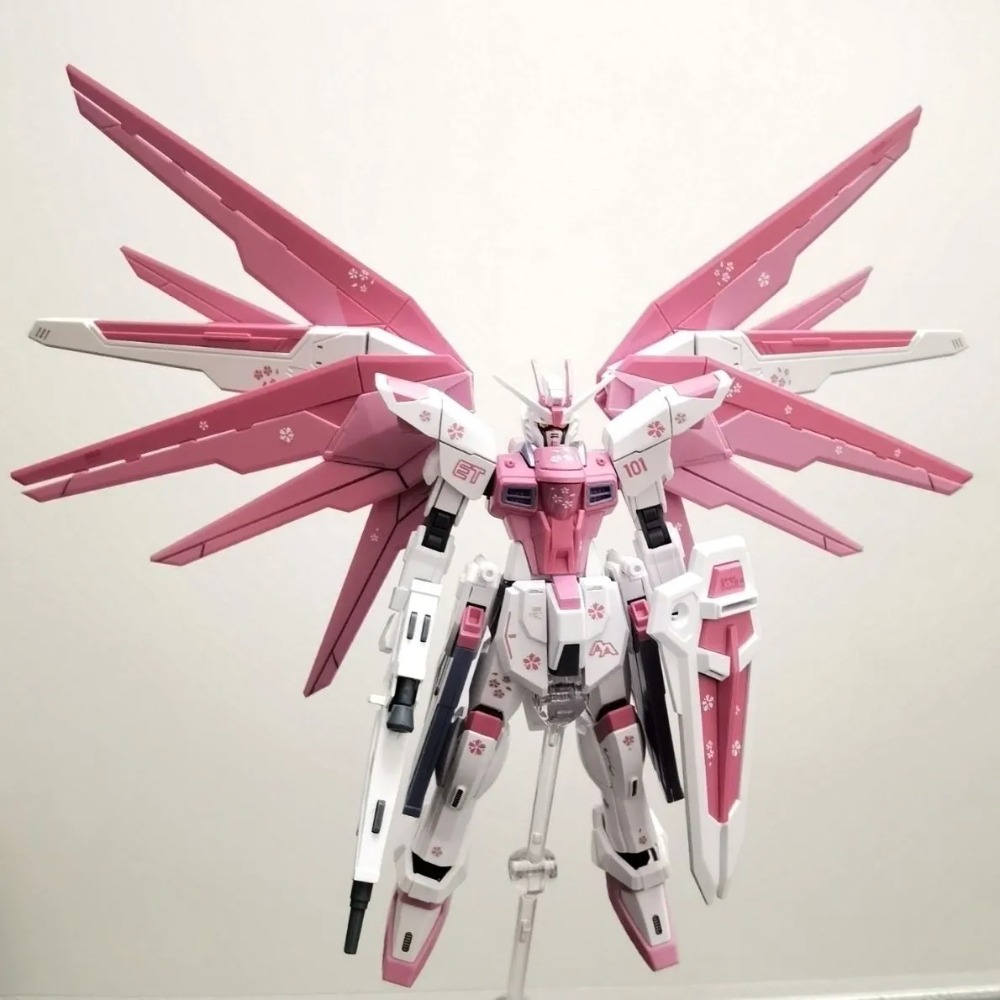 ZGMF-X10A Freedom HG 1/144 Mec - Model Kit Non Gundam recensione e prezzo