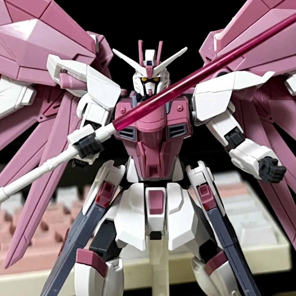 ZGMF-X10A Freedom HG 1/144 Mec - Model Kit Non Gundam recensione e prezzo