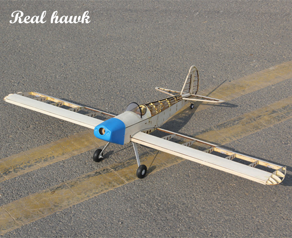 RC AirPlanes Laser Cut Balsa W - Model Kit Aircraft recensione e prezzo