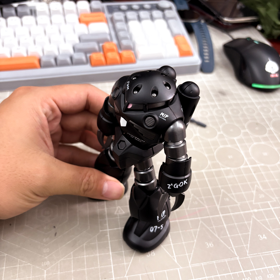 HG 1/144 Gundam MSM-07 Z'Gok 0 - Model Kit Non Gundam recensione e prezzo